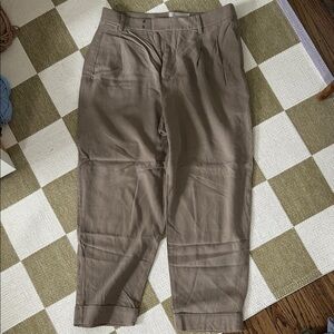 Everlane Taupe Pleated Tapered Trousers